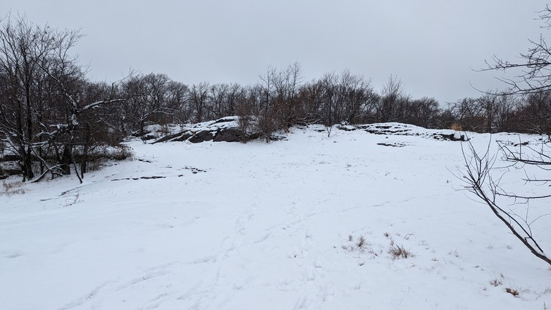 A snowy lawn in the park surrounded by trees with no leaves and a dim sky.