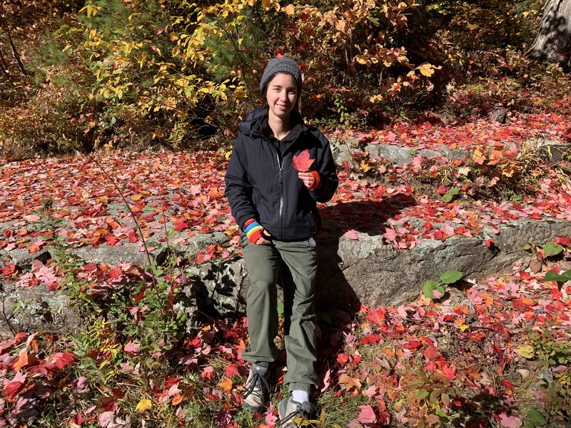 Rey sitting on a large flat rock covered in fallen red maple leaves in the autumn