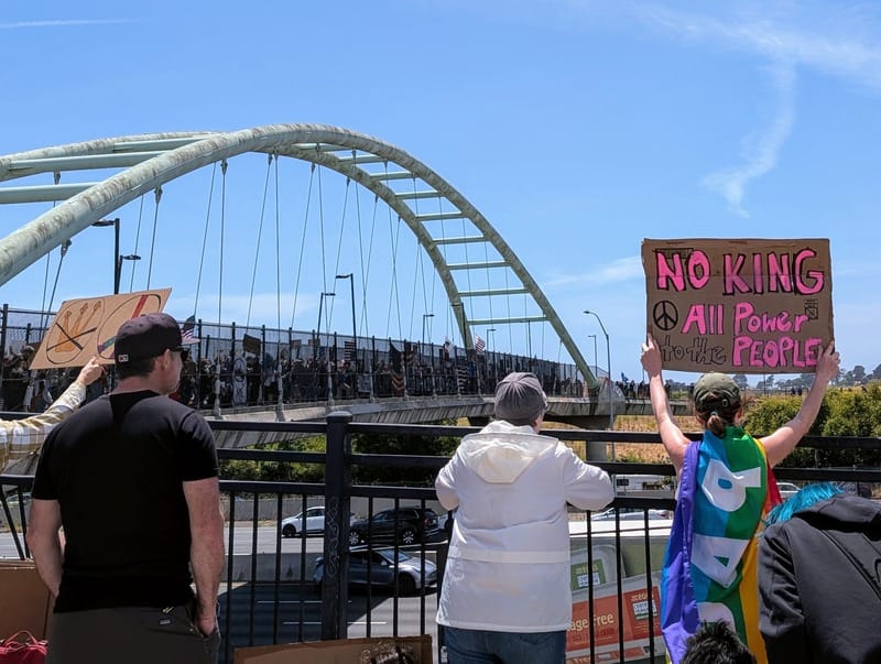 A person stands holding a sign that says, in pink, "NO KING. All Power to the PEOPLE." with the protesters on the pedestrian overpass in the background.