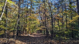 We all get older: it's not a bad thing