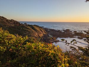 Waterfalls, the coast, confusing pronouns