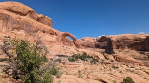 What can rocks tell us?