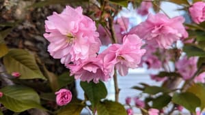 Writing about physical joy