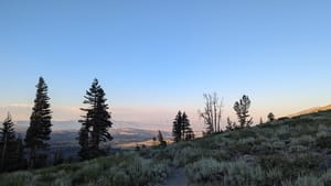 Smoky air, smoky thoughts