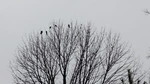 🙈 What does it mean for us that Facebook is removing fact-checking?