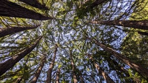 😬 Looking natural doesn't come naturally