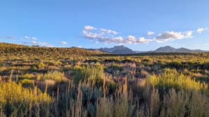 Sometimes people kick you out