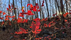 🙈 Why is it so hard to respond?