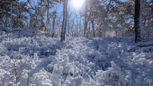 🚻 when you gotta go you gotta go