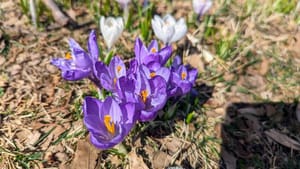 Falling, metaphorically: We we lose balance in life