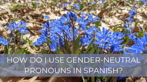 How do I use they/them pronouns in Spanish?