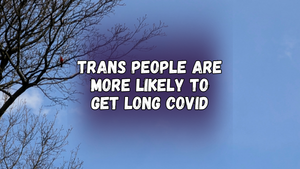 Trans people are more likely to get Long COVID, with a photo of a cardinal bird in a tree and clear sky