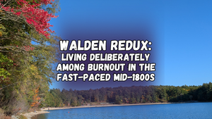 Walden redux, with Walden pond, blue sky, and mostly green trees with one bright red fall tree